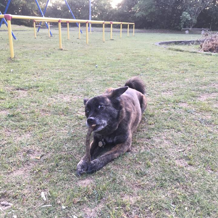 34180a5e 85ba 4d1d 8f3c 24d11d64ab51