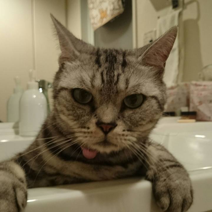 341828c3 ef1a 49a7 bf54 5661674bc39b