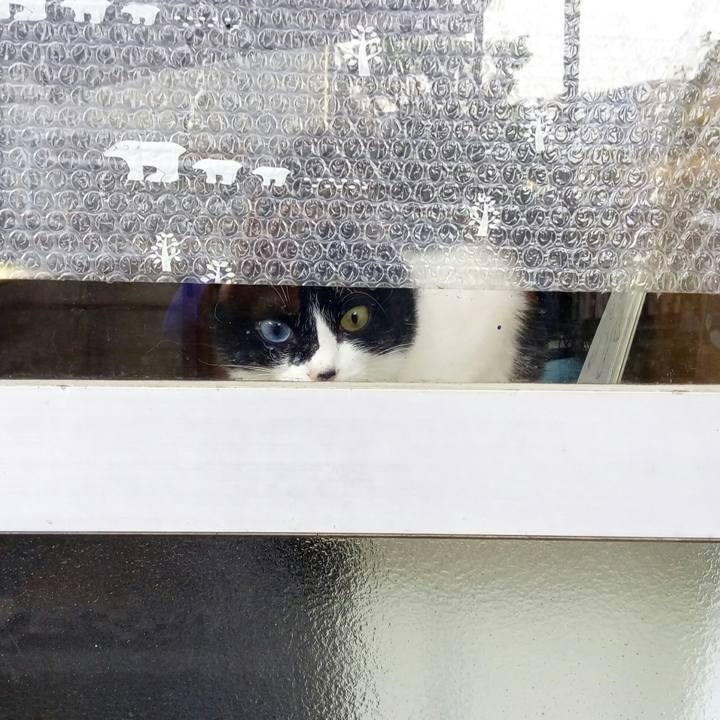 341912a7 5ac0 4fa9 bc4e af25cf7525c1