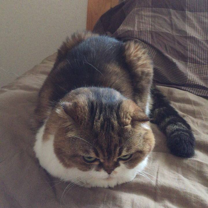 341a4af8 6dbd 4817 a104 3474c12772e9