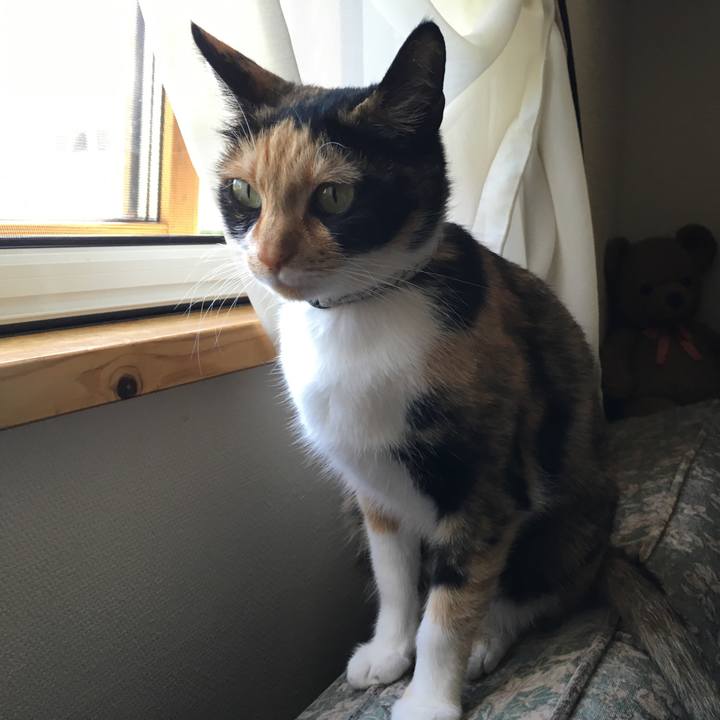 341a56da 74f0 47b1 8ee6 c1158a4a42b4