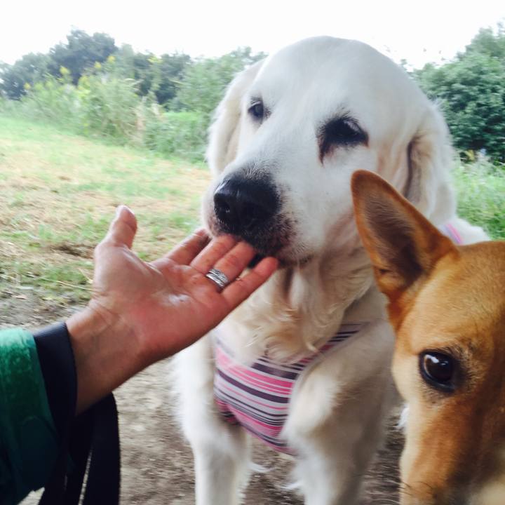 341abb70 ce21 4692 b18a 6c98dc3ded53