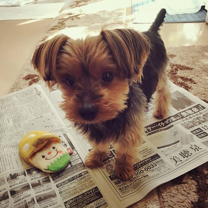 341ac590 9a4e 497b a0cd 75e63c3abc6f