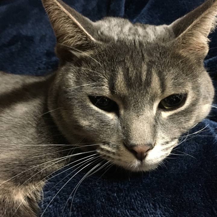 341ad5ab 7539 460a 92ef 627ffa51f724