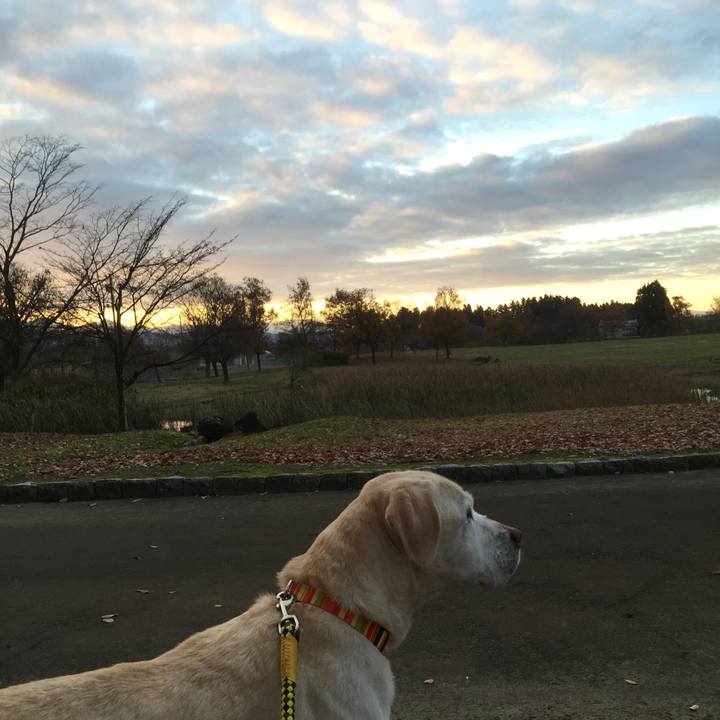 341ae91b e82b 483d b692 0e05342ed0ca