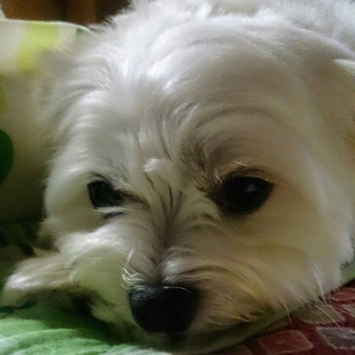 341b056a 1740 43ae a074 207978d1537d