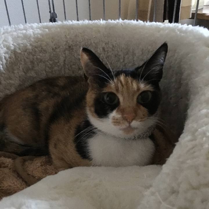 341b3516 b27b 4863 8aeb 621b0656ddb1