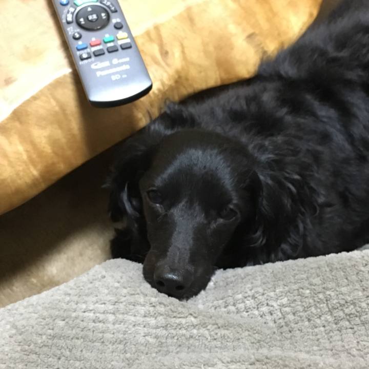 341d4da5 84f7 458b 9c7b fc1fbe7edae0