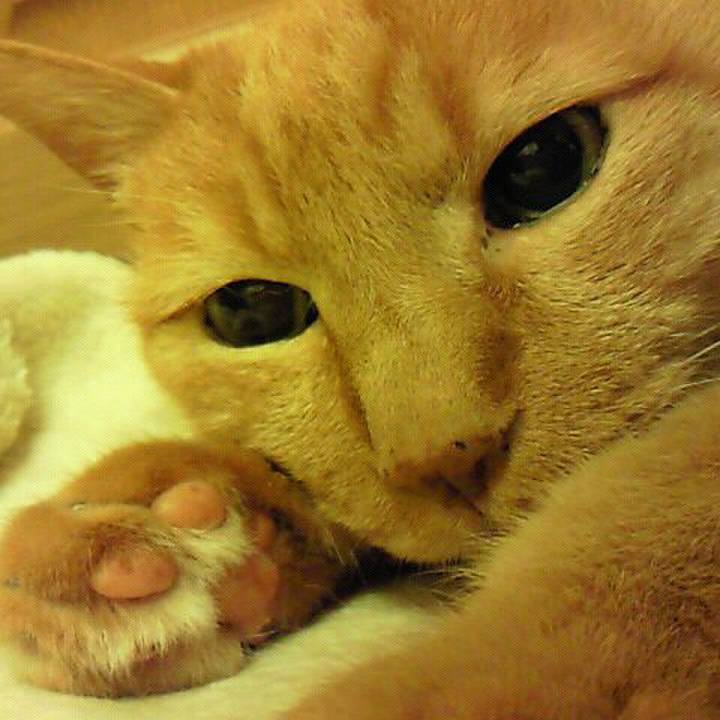 341d58b6 c00c 44c3 bb24 d18e660f1868