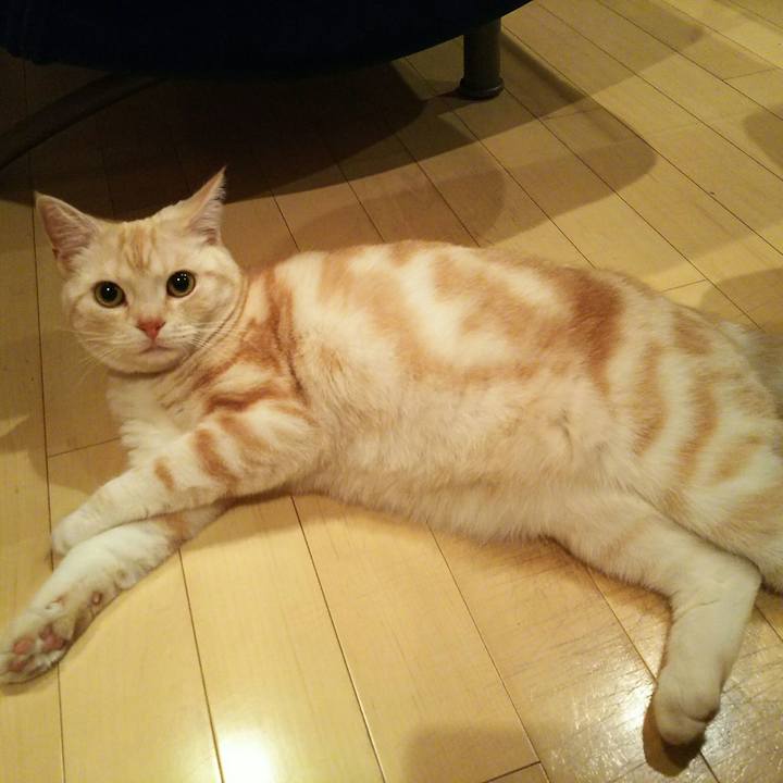 341d7498 36de 4bef 814c 8678e4e8f7bd