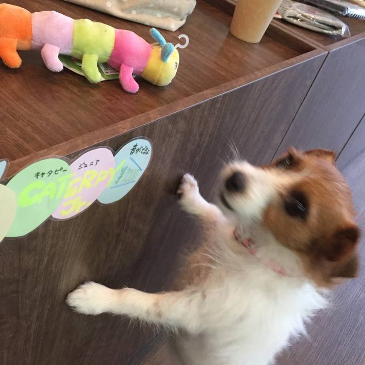 341d884d 3144 4188 9f84 c83393e6390f