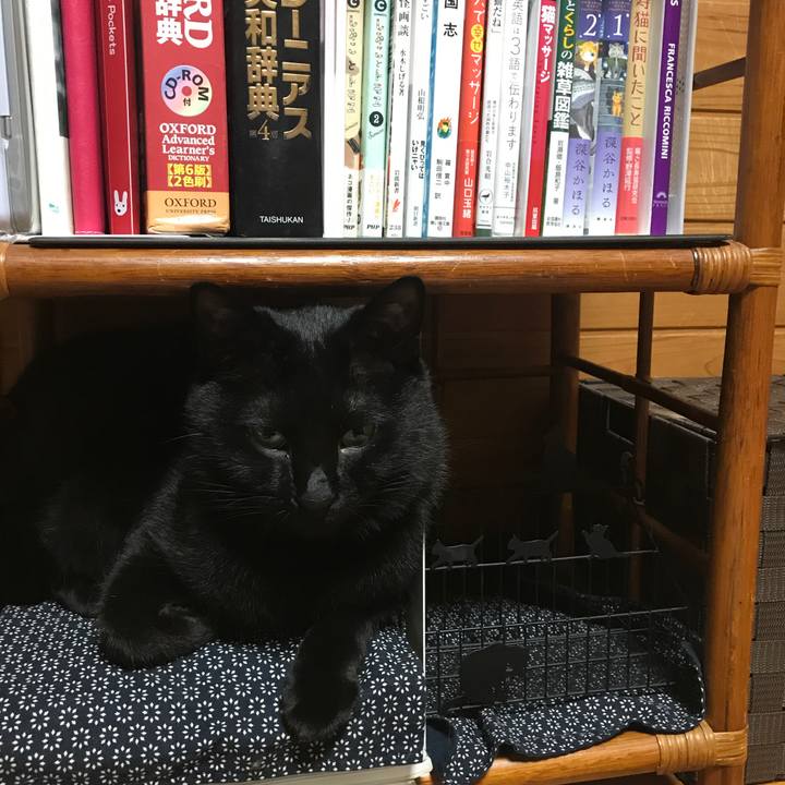 341ddb8f 9fa4 4925 9457 7693395b8d50