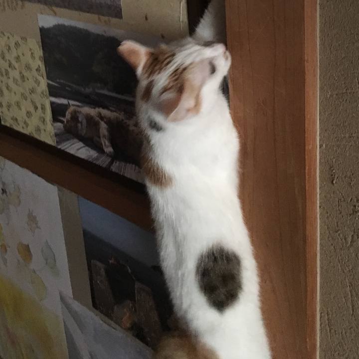 341e1821 a0a0 4bfd 99fb 655739b9a922