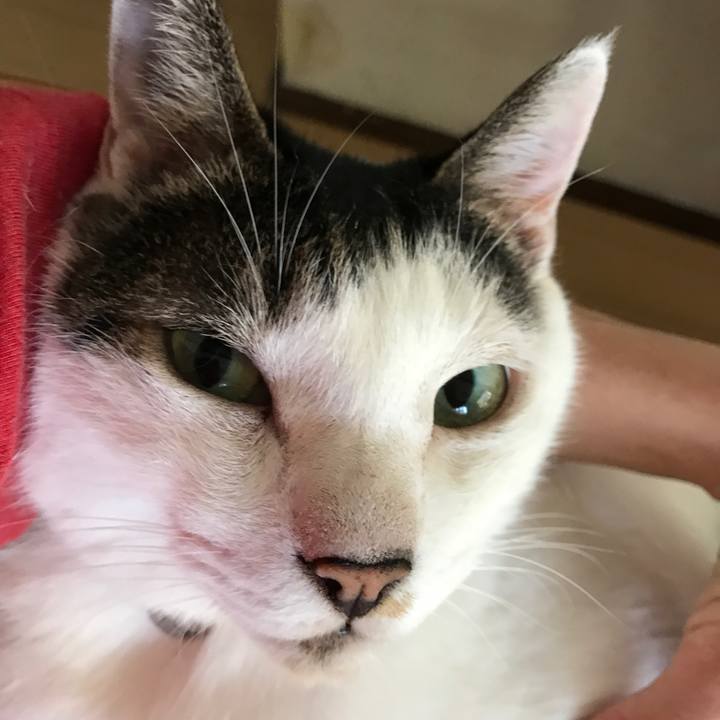 341e3989 50d4 4da2 af2f e44278b185bb