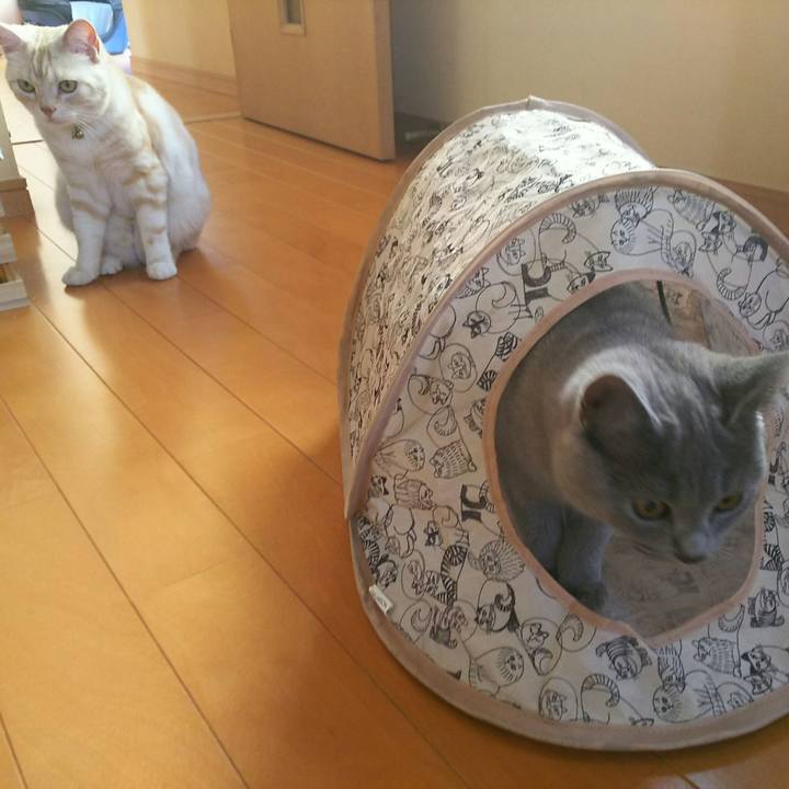 341f500d 569b 4dca a989 874e5f167601