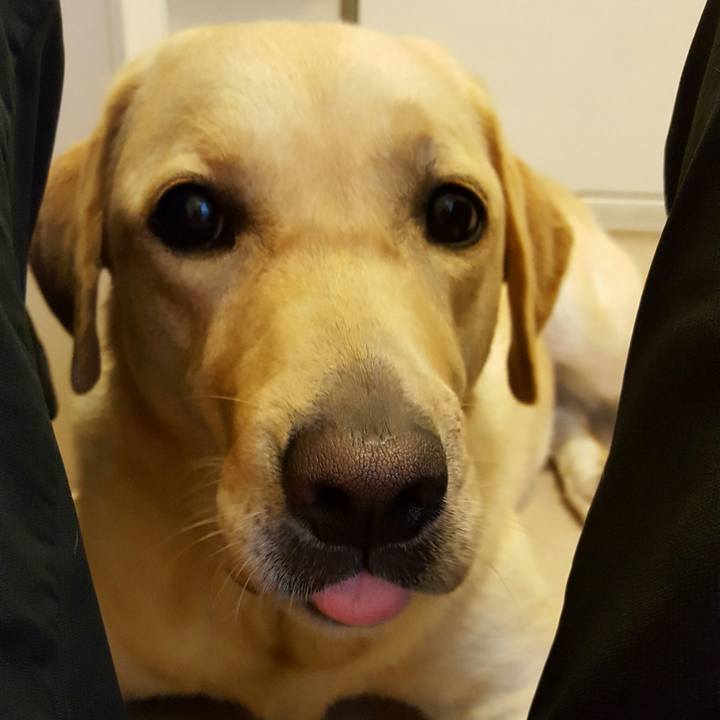 3420ab70 0874 4c9f b040 829fa50a1cff