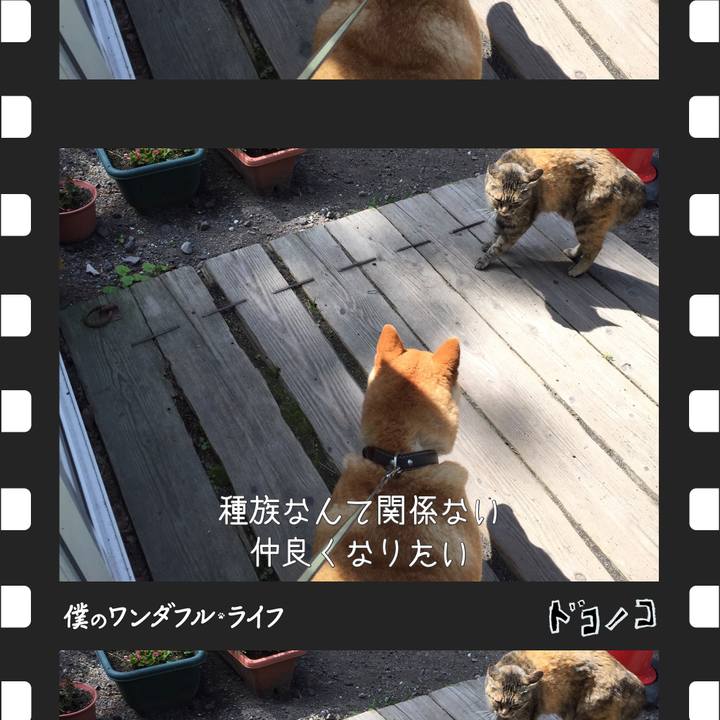 34210f98 7f0e 449b 92cb 8fb01357ab36