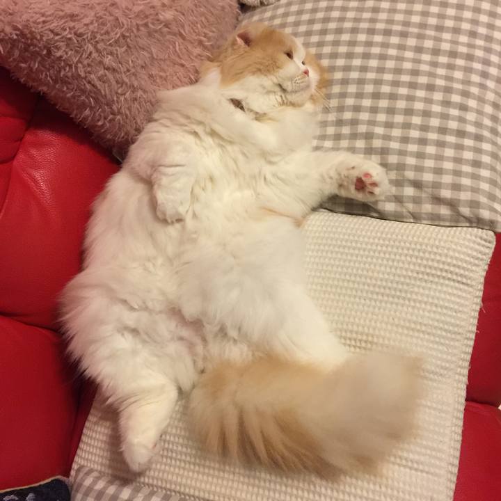 342117b6 24ff 44bd a853 4798df165bb9