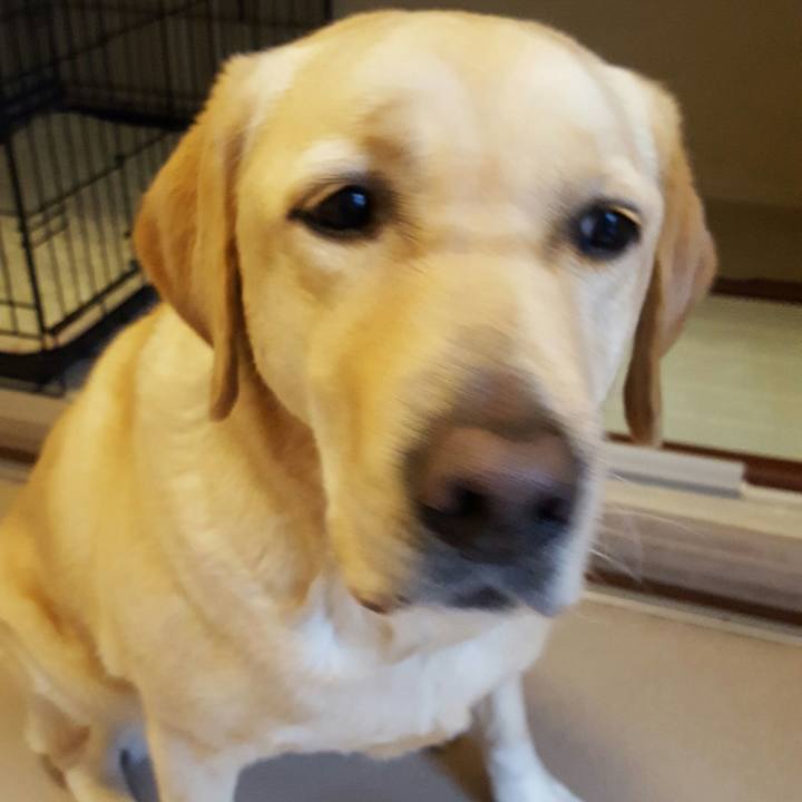 3421202c 9530 4fc6 ac38 1232d70c4585