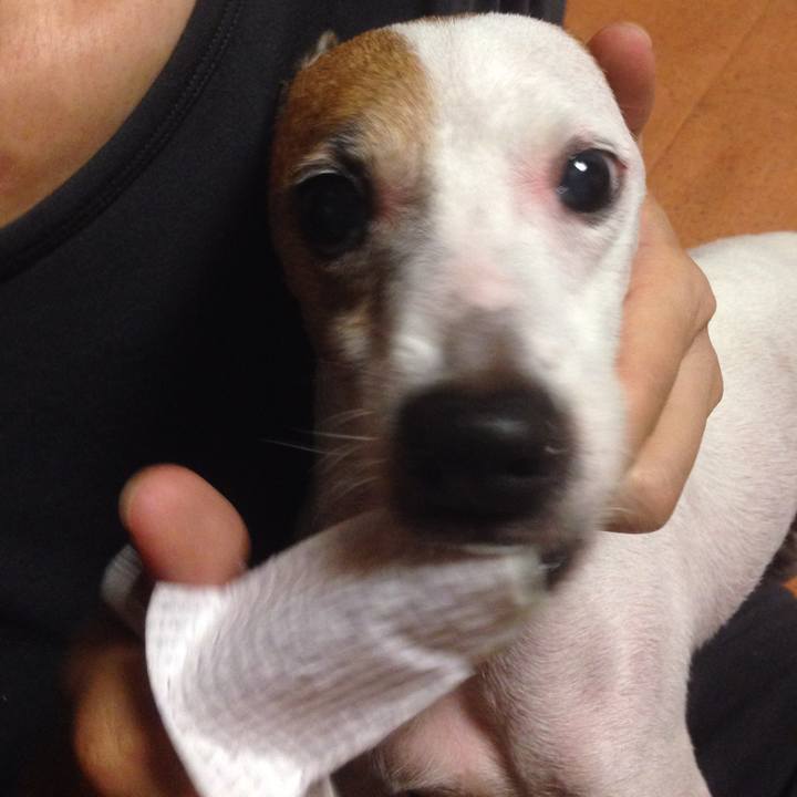 3421b319 255b 4c15 a951 5d42f02f6aba