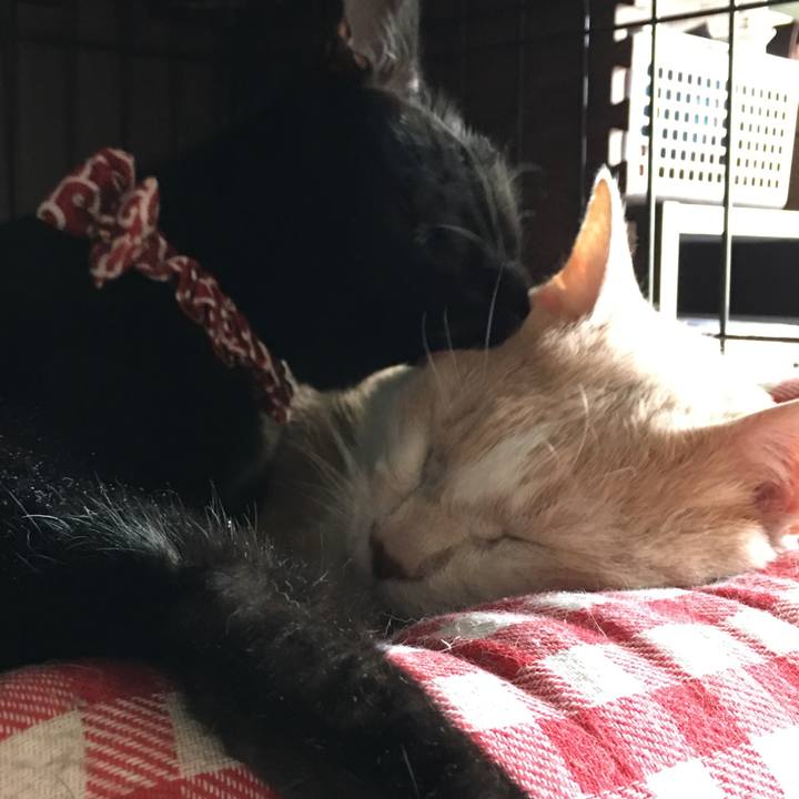 34229934 4611 4629 9366 210da00bd05f