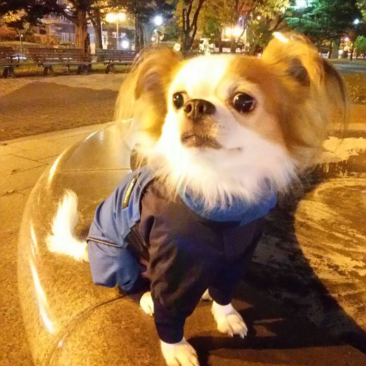 342333fa 4dec 4af7 a894 0d05acb85b78