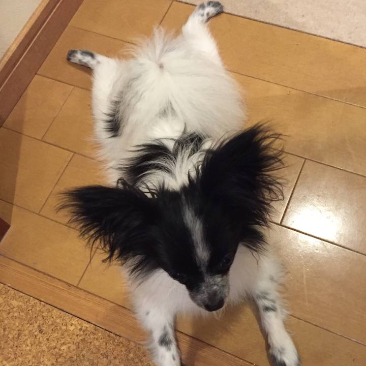 342355bd 3155 4d7a 8681 f5c373901391