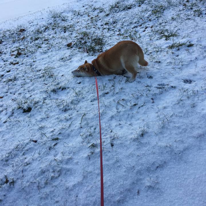 342368e6 501b 4c74 ad39 1d0f428c2d7b