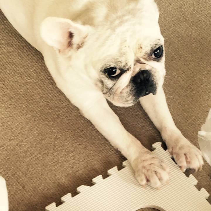 3423847c f685 4edc 863d c330cab6c7e0