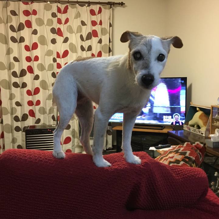 3423d466 8b89 46f0 b0d9 cebbd65be5f6