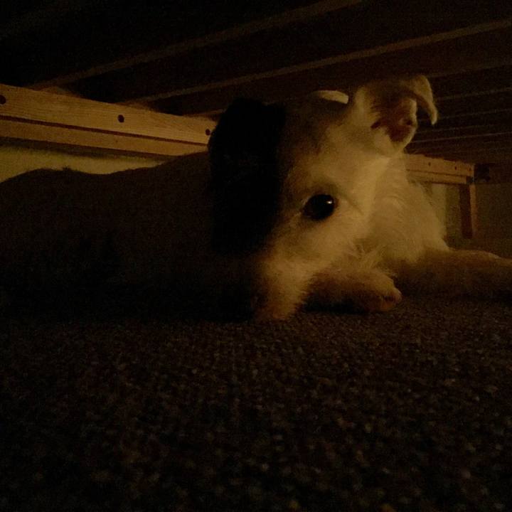 3423de92 45b8 4d24 96cc bee6dc82a28d