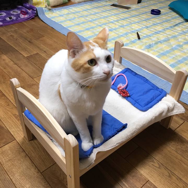 34242149 6102 45bc baff e234c84caae0