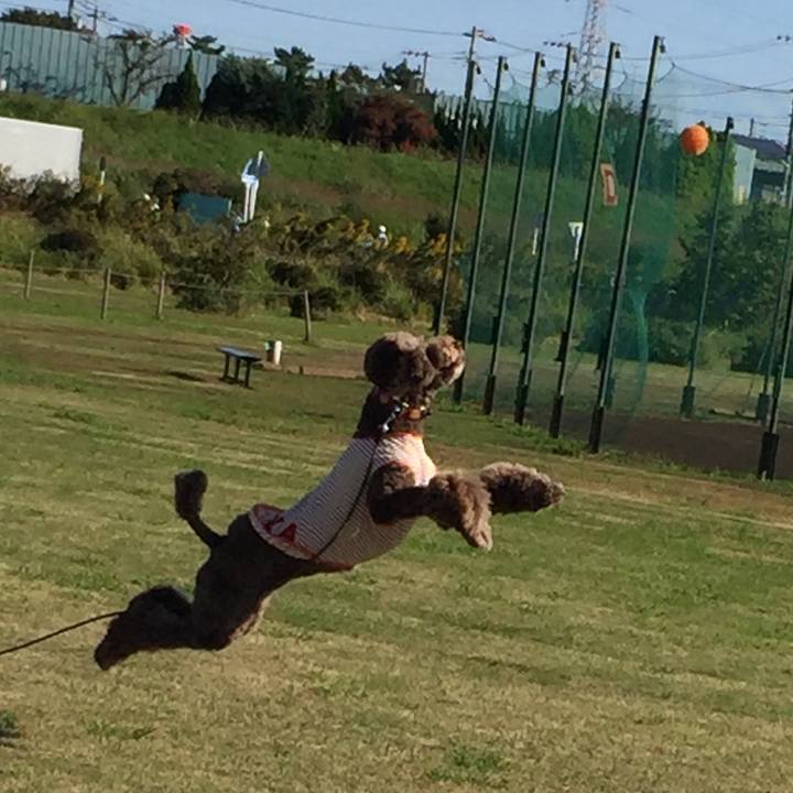 3424bbd0 11db 43aa acae a42f66c1092e