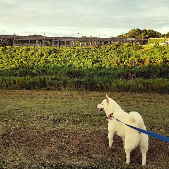 3424bdae 2066 47d4 a2a1 1a12517b09b2