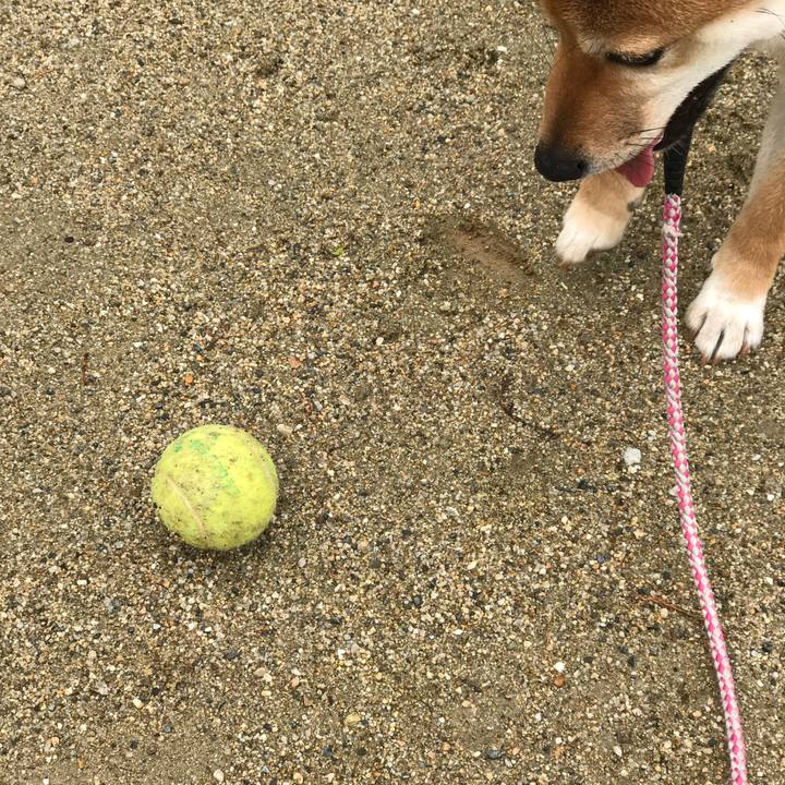 3424ffa2 fb4a 467a b26f b9dd4c5838fb