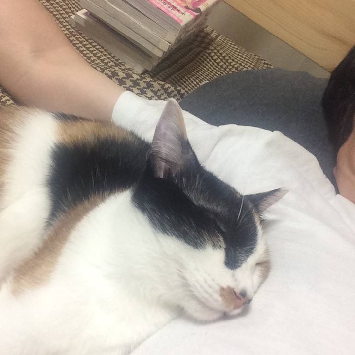 34250b60 bb0a 4401 b5eb b865b7f859d6