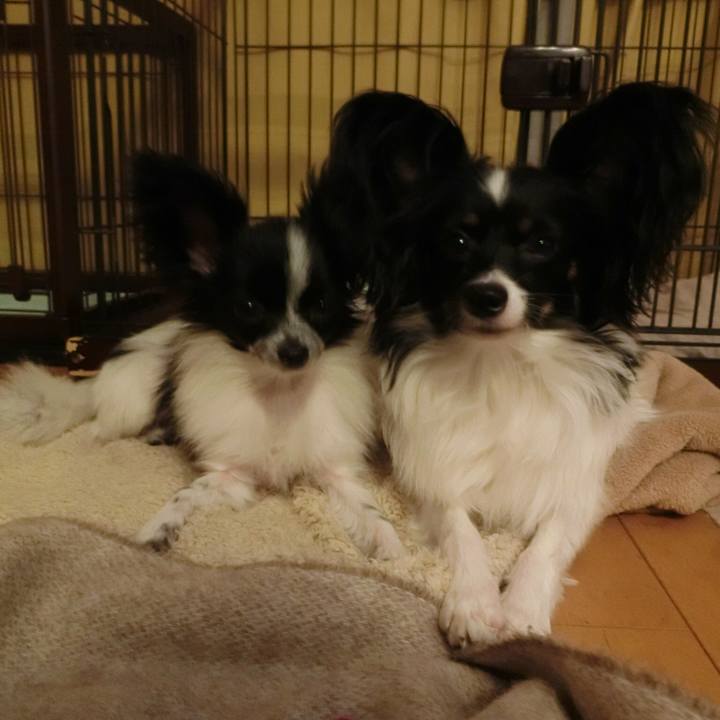 3425b797 3f69 45c1 9cb9 bd81af59f8fe