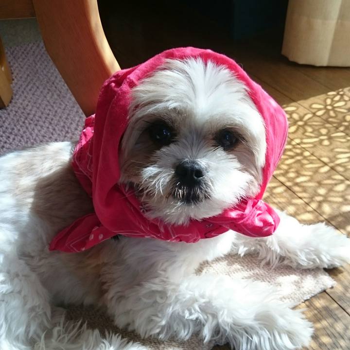 3425baac a00a 40a2 b134 eb72afca88b1