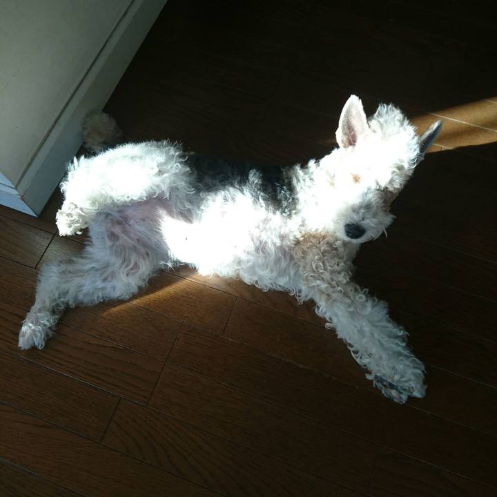 3425db7e 47d4 461e b1c6 0bae7b4ca021