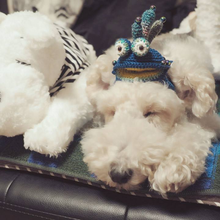 3426299a 9aa5 49b0 bf0b c55ca4966dd2