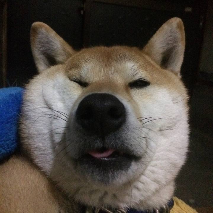 3427b94d a9ef 4611 a99c 8f110c797c5e