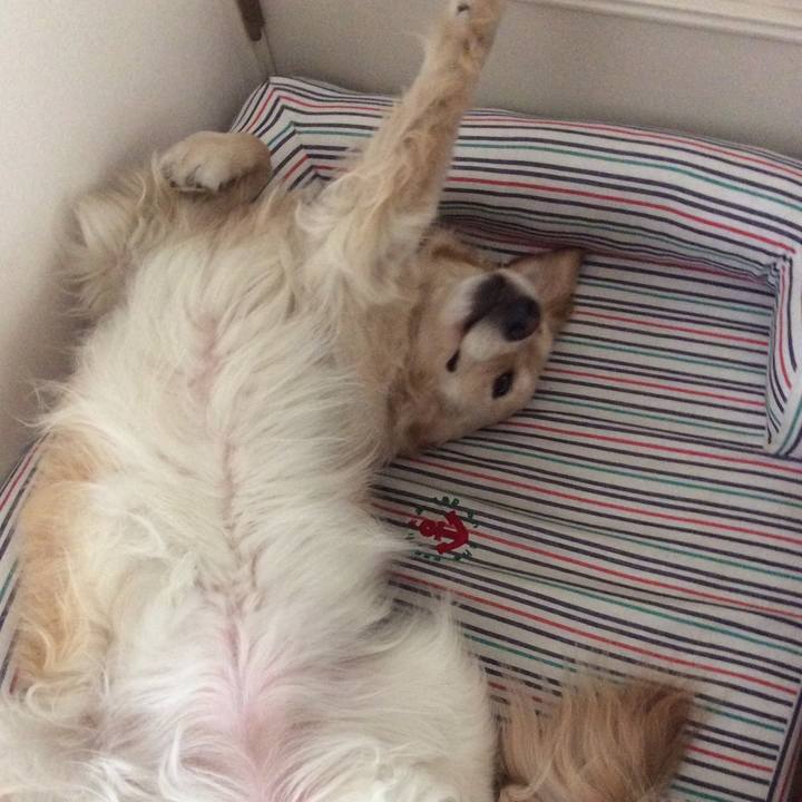 34280eb5 5920 4c1a 9de2 a2fb289d69d2