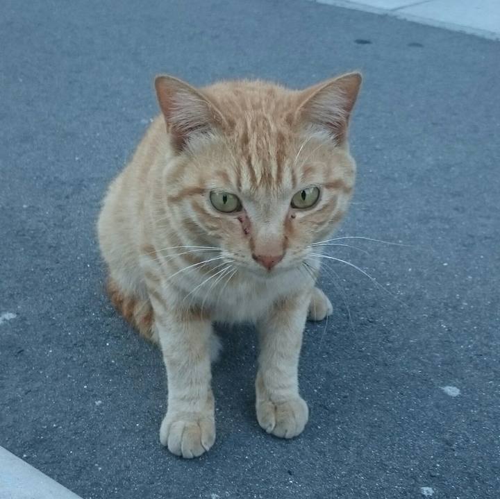 34288ab5 c925 4d04 b4b3 bd3c68ddde38