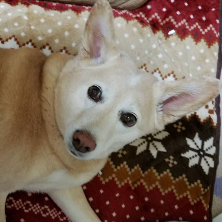 34289bb2 c3ad 43ee baae d87d9b608454