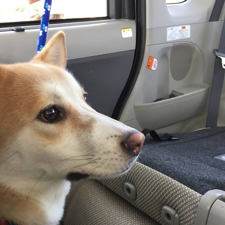 34294e71 21e5 4f7a 889b 6c37364726b1