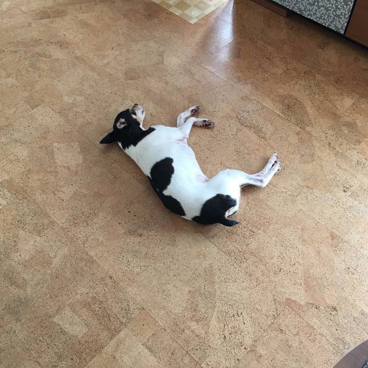 342ae84e 2fc3 474c a2e5 dd43fa539197