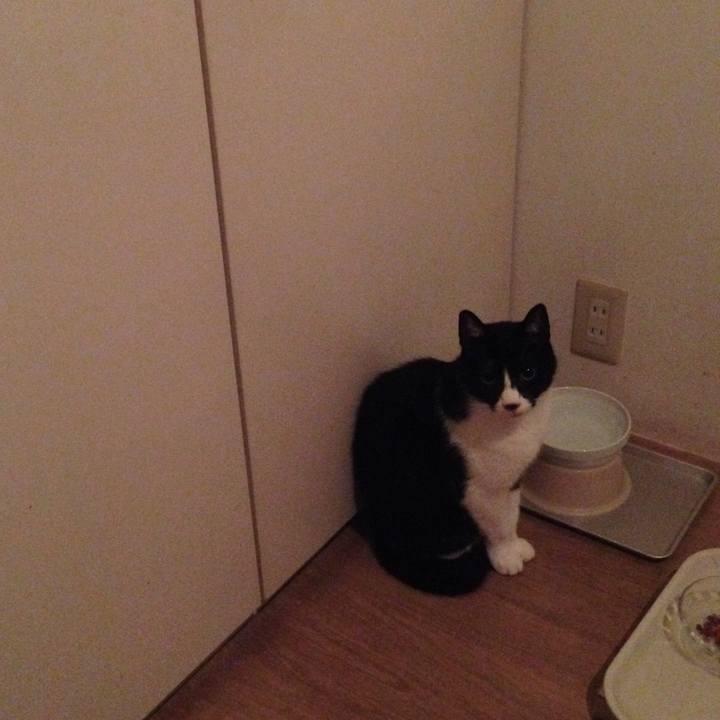 342aeae9 50fc 448a 8755 272babac955a