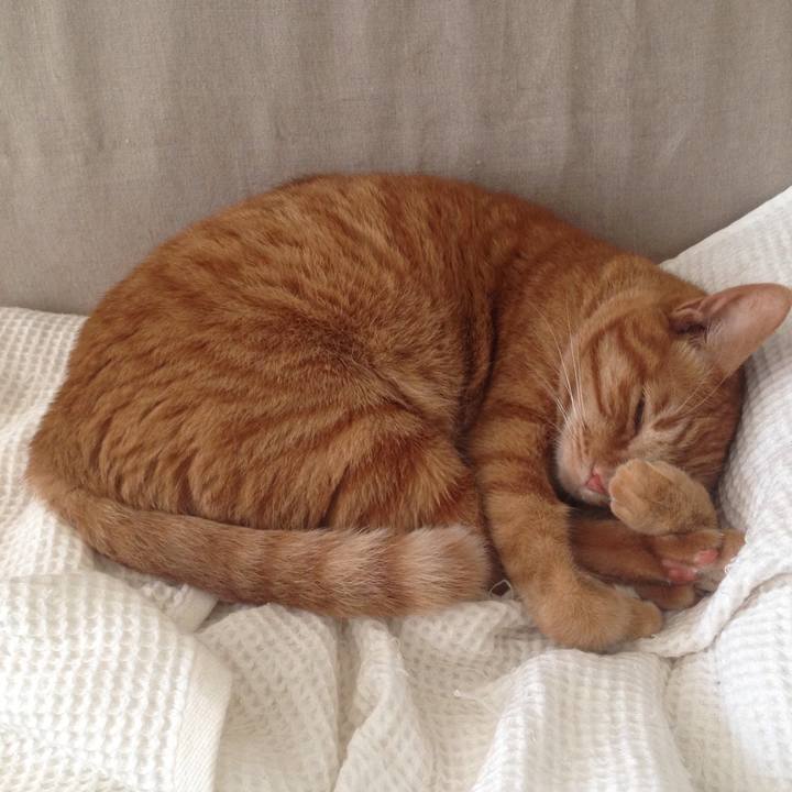 342b00f6 ce93 4bba 88a1 c4710cc2bb11