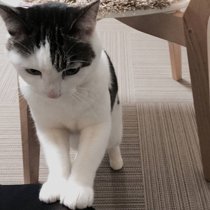 342b6ebf fa87 4ced b805 2593d500a212