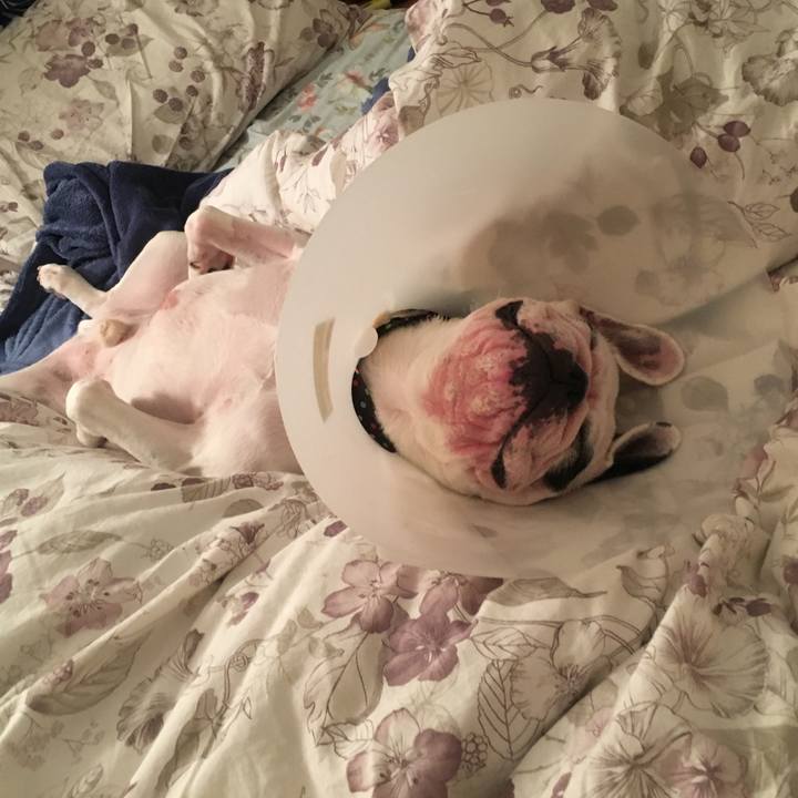 342bea29 6438 4762 96fa c0f4b3bb4c13